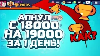 АПНУЛ 1000 КУБКОВ ЗА 1 ДЕНЬ! КАК!? УЖЕ 19000 КУБКОВ I BRAWL STARS