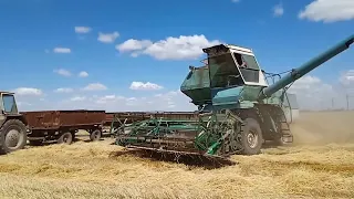 БИТВА ЗА  УРОЖАЙ 2022!🌾🌾🌾 УБОРКА ПШЕНИЦЫ.