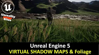 UE5: Virtual Shadow Map Performance with Foliage