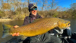 Fishing Tips to Catch Giant Trout Now