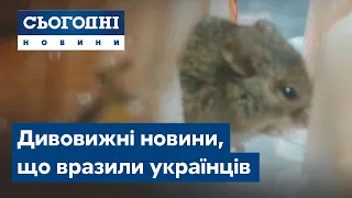 Дивовижні новини, що вразили українців