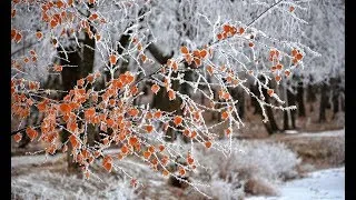 29.12.2019 Ранкове служіння в УЦХВЄ вул. Довженка 4, м.Тернопіль