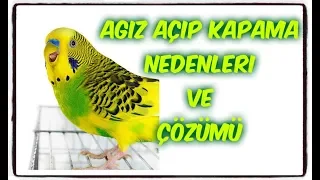 AĞIZ AÇIP KAPAMA NEDENLERİ ve ÇÖZÜMÜ