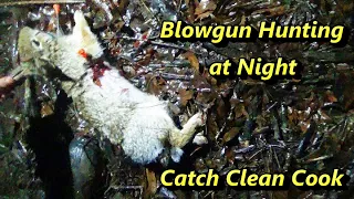 {GRAPHIC} Blowgun Hunting Rabbits at Night catch clean cook