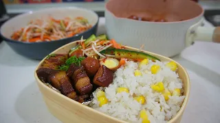 [Boxed Lunch #10] One of my favorite ways to cook the mighty pork belly #cookingvlog #braised pork