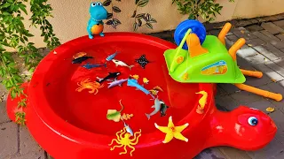 SEA ANIMALS FOR TODDLERS - NAMES AND VIDEOS