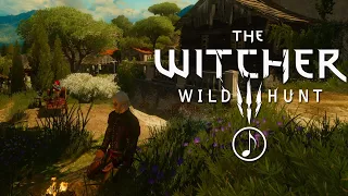 Witcher Meditation-1 Hour Atmospheric Ambience🎶Relax At Corvo Bianco