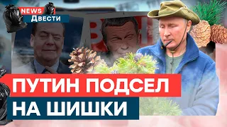 МЕДВЕДЕВ с БЕЛКОЙ нашли себе ИДЕАЛЬНУЮ ПАРУ | News ДВЕСТИ