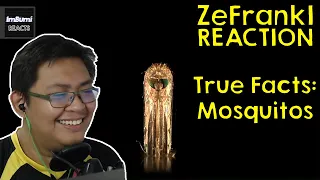 True Facts: The Mosquito | zefrank1 | ImBumi Reaction