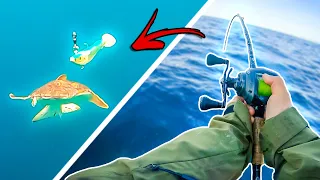UNDERWATER ATTACK IN CRYSTAL CLEAR WATER - Spin Fishing in Norway | Team Galant