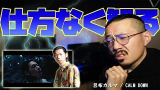 仕方なく呂布カルマの「CALM DOWN」を聴いてみた。友人がうるさいくらいオススメしてくるので、仕方なく。