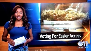 KTVA reporter quits on-air, reveals herself as owner of Alaska Cannabis Club