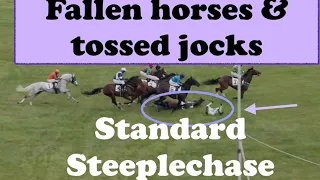 Fallen horses 😭 Misc. Oct 2021 Steeplechase