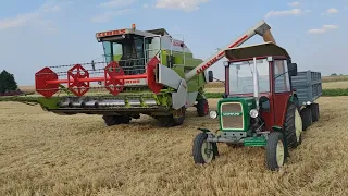 ㋡ Żniwa 2022 ☆  Maszyny Jak Nowe  ✔ Claas, Case, Ursus, MTZ ㋡