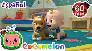 Las Mascotas 🐶🐱 | Canciones Infantiles | Caricaturas para bebés | CoComelon en Español