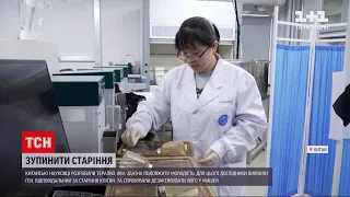 Китайські науковці розробили ліки від старості