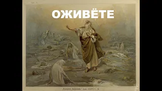 ОЖИВЕТЕ - Вячеслав Бойнецкий