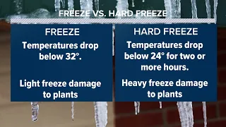 Arctic blast timeline: When and how cold will it get in Houston?