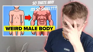 Weird Facts About The Male Body (Reaction)