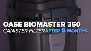 5 Months Update & Maintenance Oase BioMaster Canister Filters | Oase 250 350 600 850