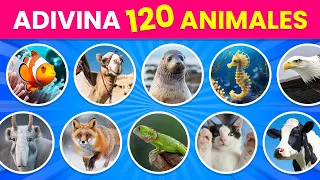🤔Adivina 120 ANIMALES por la Imagen 🐒🦁 | ¿Cuántos Animales podrás Reconocer?