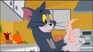 Tom and Jerry NEW Say Cheese + Dinner is Swerved том и джерри