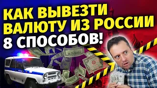 Как и сколько денег (валюты) можно вывезти из России? 8 способов!