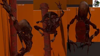 Half-Life 2: Fast Zombie Pipe Climb Test