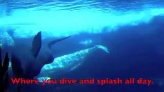 Baby Beluga Song - Lyrics - Children's Nursery Rhyme - Real Beluga