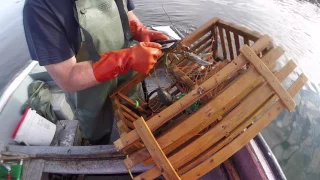 Lobster Fishing In Twillingate Newfoundland