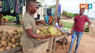 Passion ou métier :  Yamoussoukro / Fofana Coco  le brave vendeur de cocos de la basilique