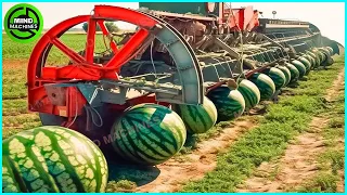 The Most Modern Agriculture Machines That Are At Another Level , How To Harvest Watermelons In Farm