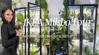 🌿 IKEA Milsbo Greenhouse Setup Tour | 🌿 Indoor Houseplants Greenhouse Tour 2024