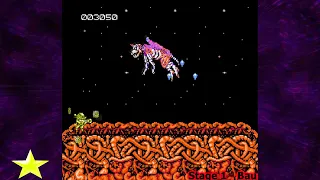 The Bosses of Abadox (NES) (Perfect - No Damage Run)