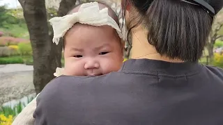 생후 80일, 용산 가족공원