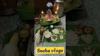 🎊✨🙏🙏💫விநாயகர் சதுர்த்தி 💫🙏🙏🎉✨sneha vlogs support my channel friends and family members