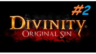 Divinity Original Sin - Burning and stealing