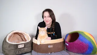 Top 5 Best Cat Beds (We Tried Them)