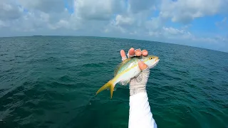Sea Trout, Yellow Tail. Lower Key, Florida