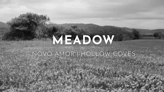 Slow Whispers of Nature: A Hollow Coves & Novo Amor Playlist ( slowed and reverb)