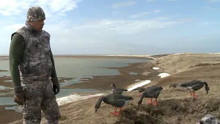 Охота на Гуся в Тундре ( Goose hunting in  Tundra). Часть вторая.