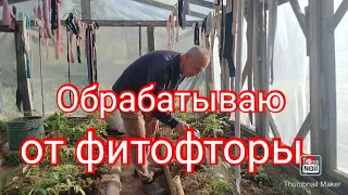 Как и чем я обрабатываю помидоры от фитофторы.#дача#помидоры #фитофтора