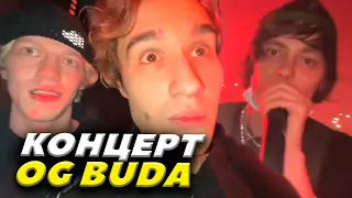 КОНЦЕРТ OG BUDA | ПАРАДЕИЧ, КОРЕШ, ПЛОХОЙ ПАРЕНЬ, КУЕРТОВ | ИРЛ СТРИМ