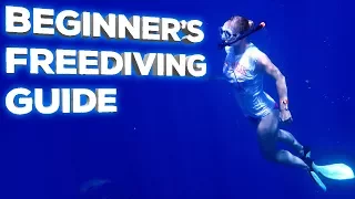 Freediving Gear Guide