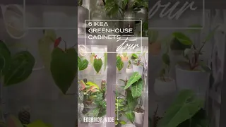 6 IKEA Greenhouse Cabinet TOUR. ☺️ 💚