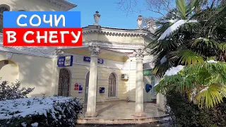 СНЕГ В СОЧИ. ПАЛЬМЫ В СНЕГУ. Первый снег за три года!