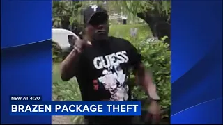 Brazen porch pirate steals package directly from homeowner's hands in Cheltenham Twp.