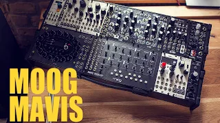 The Affordable Moog that Took Over My System [ Mavis Demo ]