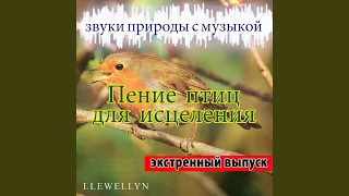 Пение птиц для исцеления: звуки природы с музыкой (экстренный выпуск)