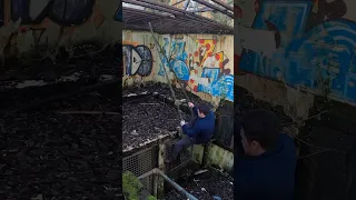 This abandoned monkey sanctuary we found is CRAZY! #abandoned #exploring #zoo #uk #wales #shorts